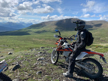 Load image into Gallery viewer, Custom tours